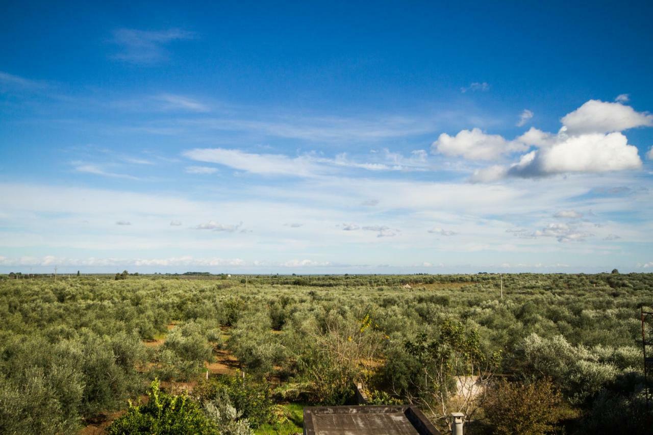 B&B Giordano Mariotto Екстериор снимка